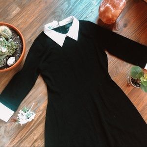 TAHARI black Wool dress with collars size small